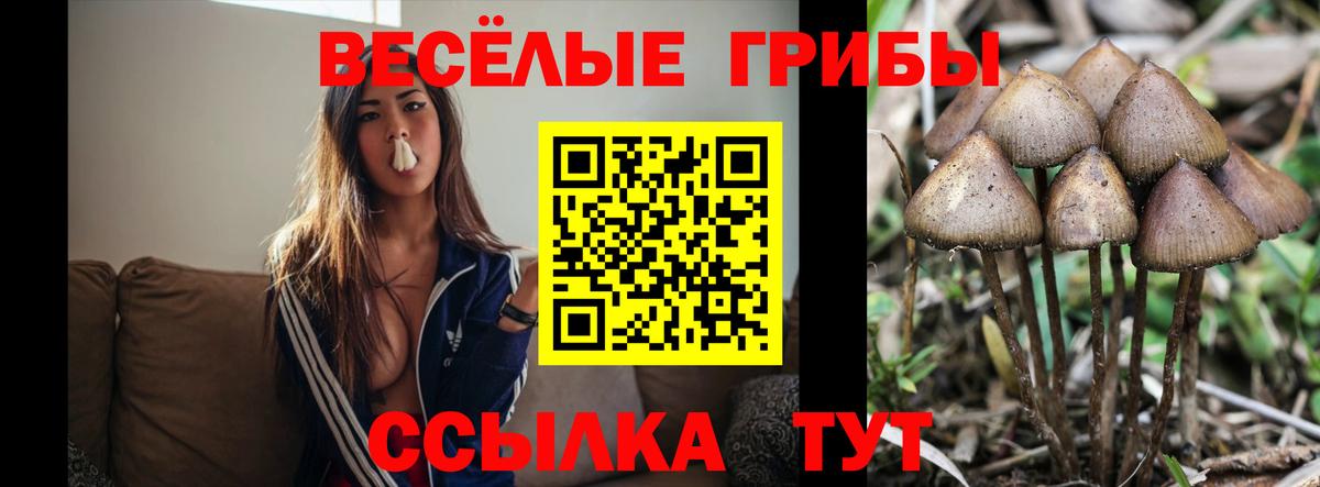 Муравленко  Псилоцибиновые грибы прущие грибы  Вход с VPN 